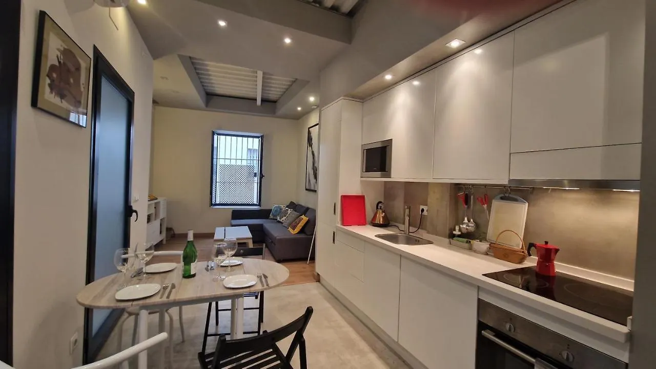 Duplex El Patio En Centro De Sevilla